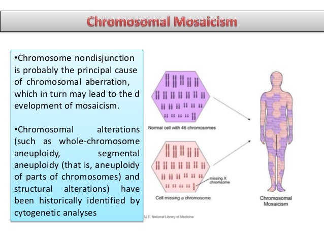 an analysis of mosaicism in down syndrome genetic disorder Mosaic down syndrome, or mosaicism, is a less common and potentially milder form of the disorder occurring in 2 percent to 4 percent of cases. an analysis of mosaicism in down syndrome genetic disorder Mosaic down syndrome, or mosaicism, is a less common and potentially milder form of the disorder occurring in 2 percent to 4 percent of cases.
