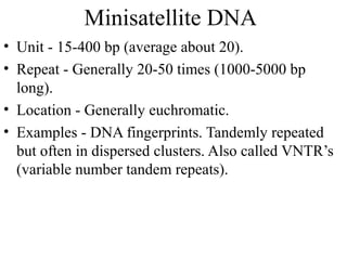 Minisatellite Example Genome organisation in eukaryotes...........!!!!!!!!!!! | PPT