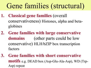 Genome organisation in eukaryotes...........!!!!!!!!!!! | PPT