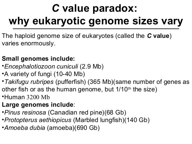 Genome Organisation In Eukaryotes