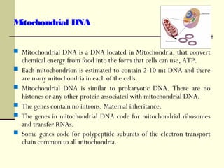Mitochondrial DNA
 Mitochondrial DNA is a DNA located in Mitochondria, that convert
chemical energy from food into the form that cells can use, ATP.
 Each mitochondrion is estimated to contain 2-10 mt DNA and there
are many mitochondria in each of the cells.
 Mitochondrial DNA is similar to prokaryotic DNA. There are no
histones or any other protein associated with mitochondrial DNA.
 The genes contain no introns. Maternal inheritance.
 The genes in mitochondrial DNA code for mitochondrial ribosomes
and transfer RNAs.
 Some genes code for polypeptide subunits of the electron transport
chain common to all mitochondria.
 