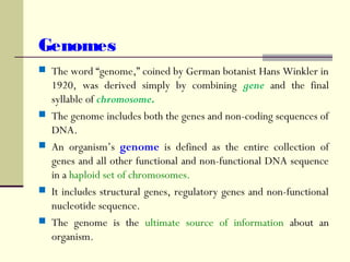 Genomes
 The word “genome,” coined by German botanist Hans Winkler in
1920, was derived simply by combining gene and the final
syllable of chromosome.
 The genome includes both the genes and non-coding sequences of
DNA.
 An organism’s genome is defined as the entire collection of
genes and all other functional and non-functional DNA sequence
in a haploid set of chromosomes.
 It includes structural genes, regulatory genes and non-functional
nucleotide sequence.
 The genome is the ultimate source of information about an
organism.
 