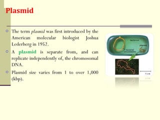 o The term plasmid was first introduced by the
American molecular biologist Joshua
Lederberg in 1952.
o A plasmid is separate from, and can
replicate independently of, the chromosomal
DNA.
o Plasmid size varies from 1 to over 1,000
(kbp).
Plasmid
 