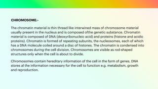 GENOME ORGANISATION.pdf