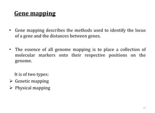 Gene mapping
• Gene mapping describes the methods used to identify the locus
of a gene and the distances between genes.
• The essence of all genome mapping is to place a collection of
molecular markers onto their respective positions on the
genome.
It is of two types:
 Genetic mapping
 Physical mapping
15
 