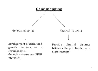 Gene mapping
Genetic mapping Physical mapping
16
Arrangement of genes and
genetic markers on a
chromosome.
Genetic markers are RFLP,
VNTR etc.
Provide physical distance
between the gens located on a
chromosome.
 