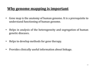 Why genome mapping is important
• Gene map is the anatomy of human genome. It is a prerequisite to
understand functioning of human genome.
• Helps in analysis of the heterogeneity and segregation of human
genetic diseases.
• Helps to develop methods for gene therapy.
• Provides clinically useful information about linkage.
18
 
