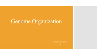 Genome Organization
Dr. M. Sonia Angeline
KJC
 