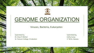 GENOME ORGANIZATION
Submitted to,
Dr. Arya P. Mohan
St. Teresa’s College, Ernakulam
Submitted by,
Cathy Surya
1st M.Sc. Botany
Viruses, Bacteria, Eukaryotes
1
 