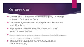 Genome Organization Presentation Ppt Pptx