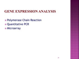 Genome organization and gene expression and its regulation | PPTX