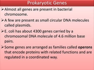Almost all genes are present in bacterial
chromosome.
A few are present as small circular DNA molecules
called plasmids.
E. coli has about 4300 genes carried by a
chromosomal DNA molecule of 4.6 million base
pairs.
Some genes are arranged as families called operons
that encode proteins with related functions and are
regulated in a coordinated way.
Prokaryotic Genes
 