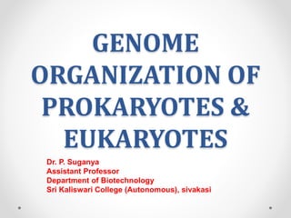 GENOME
ORGANIZATION OF
PROKARYOTES &
EUKARYOTES
Dr. P. Suganya
Assistant Professor
Department of Biotechnology
Sri Kaliswari College (Autonomous), sivakasi
 