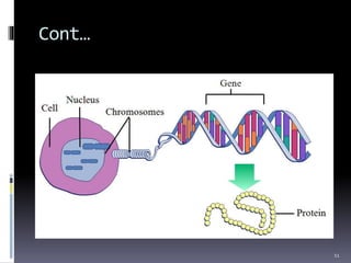 Genome organization and Gene Expression | PPTX