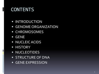 Genome organization and Gene Expression | PPTX