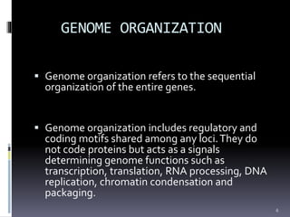 Genome organization and Gene Expression | PPTX