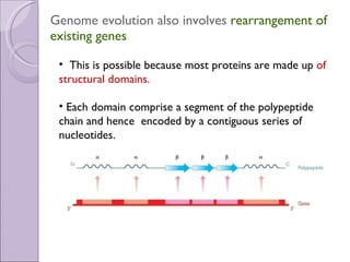 Genome evolution also involves  rearrangement of existing genes This is possible because most proteins are made up  of structural domains. Each domain comprise a segment of the polypeptide chain and hence  encoded by a contiguous series of nucleotides.  
