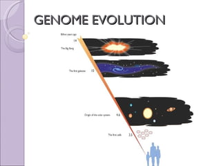 GENOME EVOLUTION 