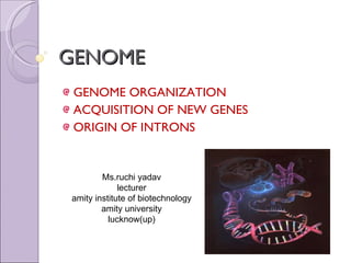 GENOME ,[object Object],[object Object],[object Object],Ms.ruchi yadav lecturer amity institute of biotechnology amity university lucknow(up) 