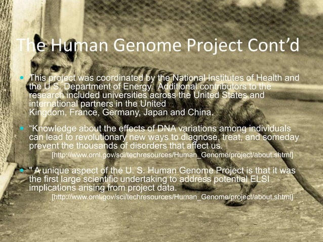 Genome Power Point Presentation 2 