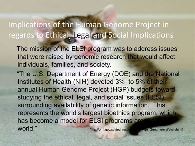 genome-power-point-presentation-2