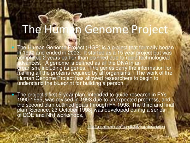 Genome Power Point Presentation 2 