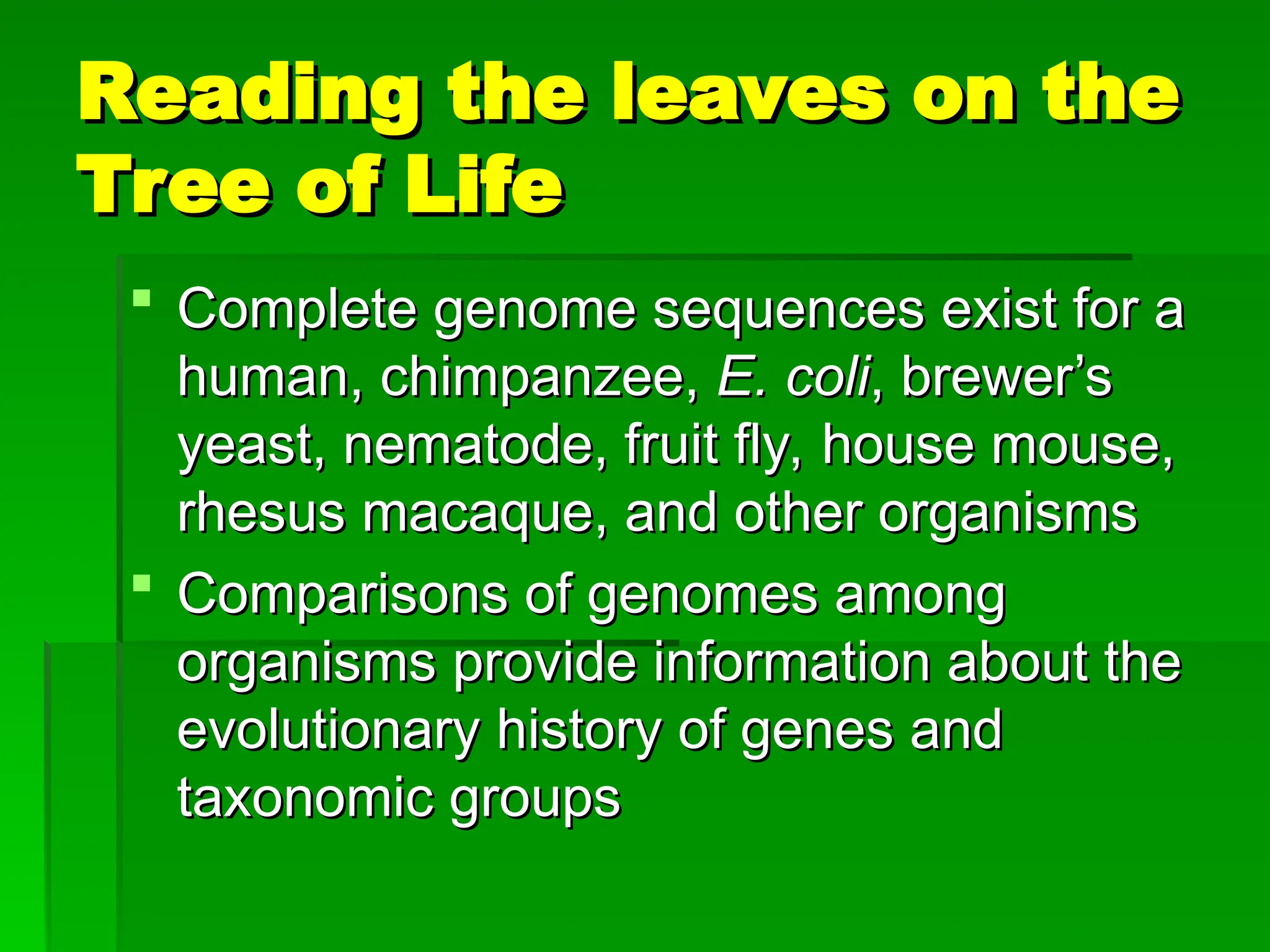 Genomes and Their Evolution detailed explanation | PPT