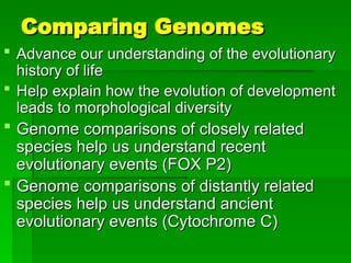Genomes and Their Evolution detailed explanation | PPT