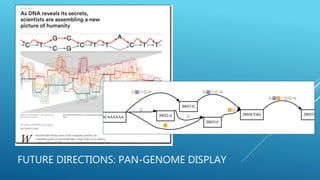 FUTURE DIRECTIONS: PAN-GENOME DISPLAY
 