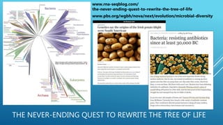 THE NEVER-ENDING QUEST TO REWRITE THE TREE OF LIFE
www.rna-seqblog.com/
the-never-ending-quest-to-rewrite-the-tree-of-life
www.pbs.org/wgbh/nova/next/evolution/microbial-diversity
 