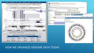 HOW WE ORGANIZE GENOME DATA TODAY
 