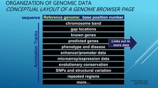 Copyright OpenHelix. No use
or reproduction without
express written consent
6
ORGANIZATION OF GENOMIC DATA
CONCEPTUAL LAYOUT OF A GENOME BROWSER PAGE
Reference genome: base position numbersequence
AnnotationTracks
chromosome band
predicted genes
phenotype and disease
evolutionary conservation
SNPs and structural variation
gap locations
known genes
repeated regions
microarray/expression data
more…
enhancer/promoter data
Links out to
more data
 