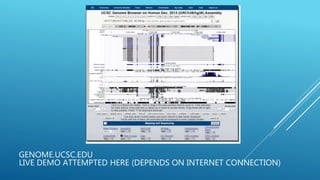 GENOME.UCSC.EDU
LIVE DEMO ATTEMPTED HERE (DEPENDS ON INTERNET CONNECTION)
 