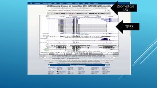 TP53
Zoomed out
1.5x
 