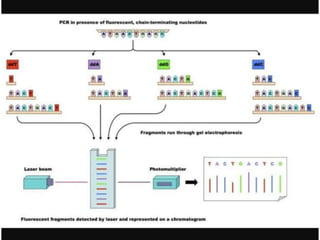 Genome sequencing | PPTX