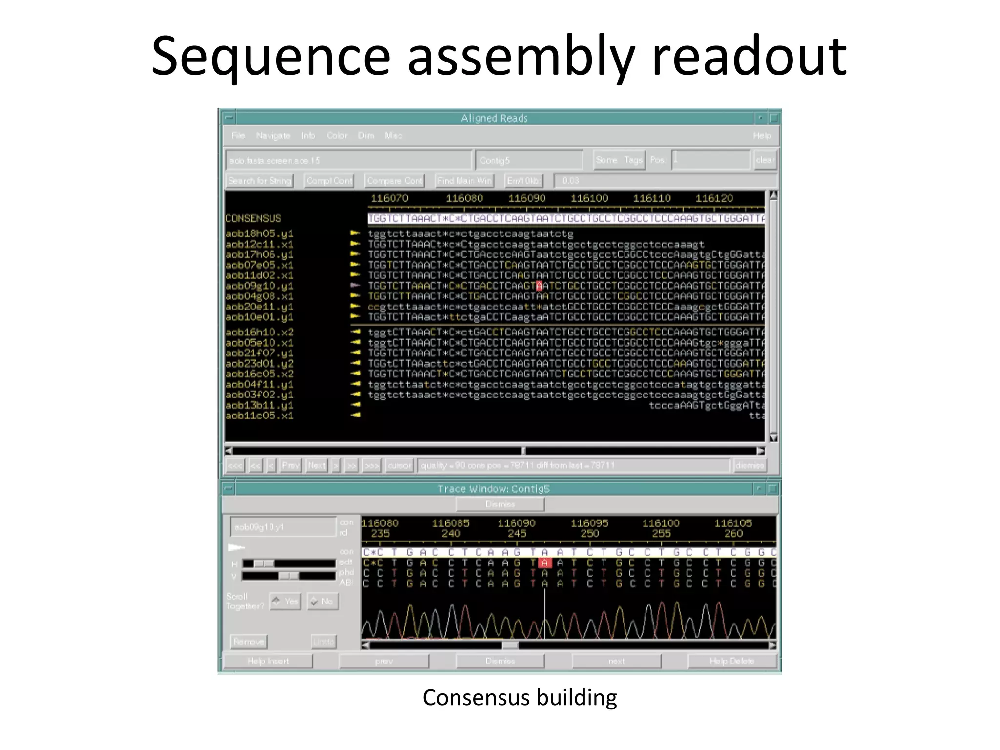 Genome sequencing | PPT