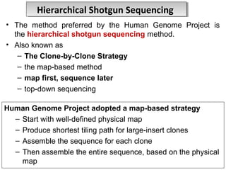 Genome sequencing | PPT