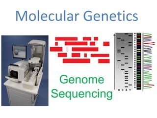Molecular Genetics 
Genome 
Sequencing 
 