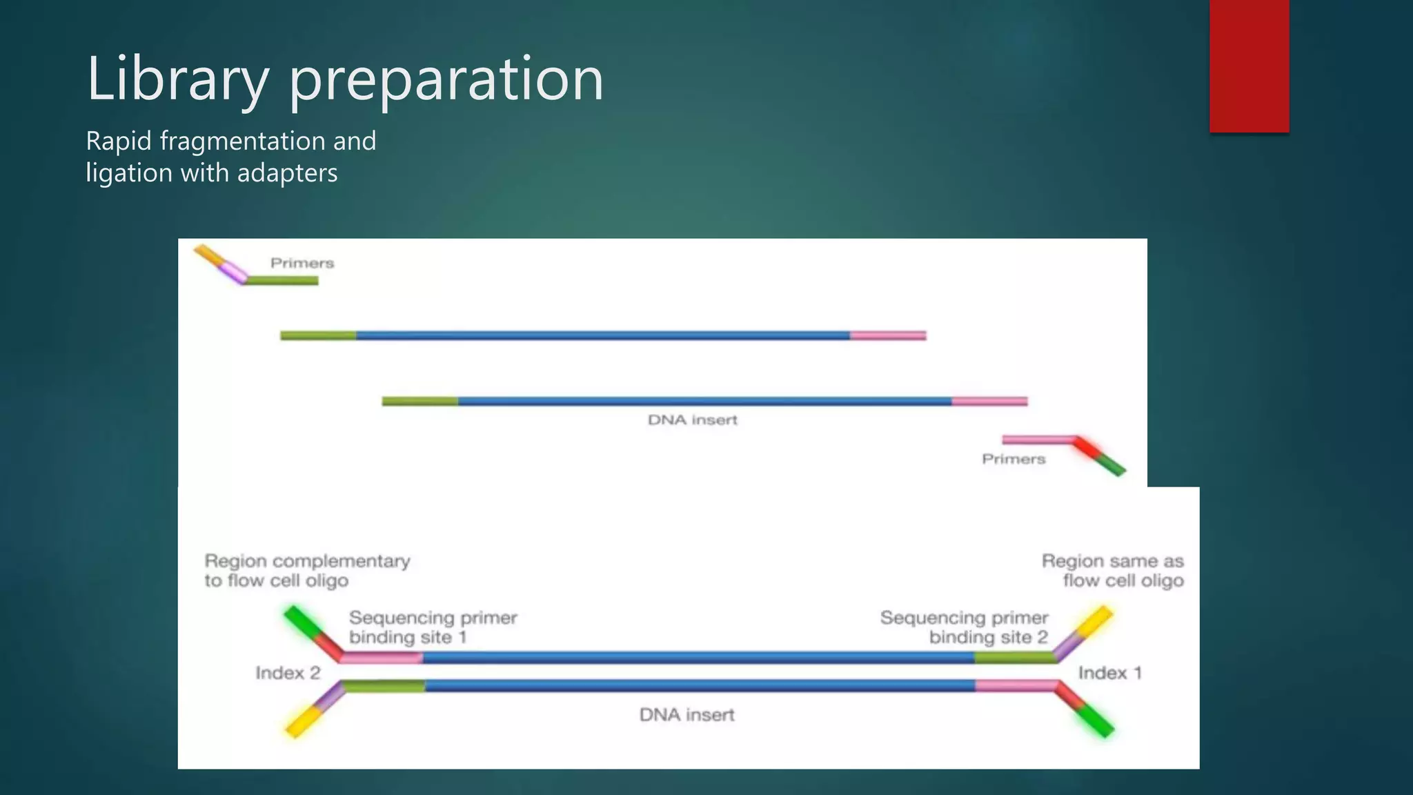 Genome sequencing | PPT