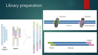 Genome sequencing | PPTX