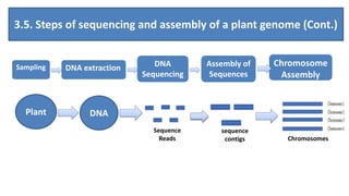 Genome sequencing. ppt.pptx