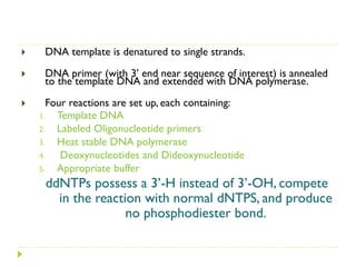 Genome sequencing, DNA sequencing method | PDF