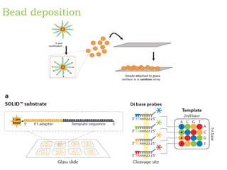 Genome sequencing, DNA sequencing method | PDF