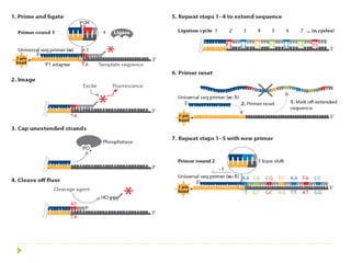 Genome sequencing, DNA sequencing method | PDF