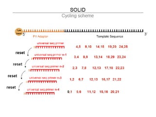 Genome sequencing, DNA sequencing method | PDF