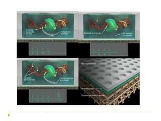 Genome sequencing, DNA sequencing method | PDF
