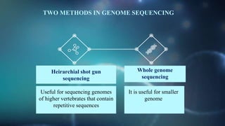 TWO METHODS IN GENOME SEQUENCING
Heirarchial shot gun
sequencing
Useful for sequencing genomes
of higher vertebrates that contain
repetitive sequences
Whole genome
sequencing
It is useful for smaller
genome
 