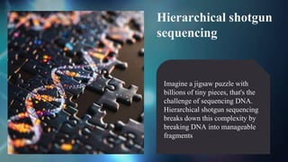 Hierarchical shotgun
sequencing
Imagine a jigsaw puzzle with
billions of tiny pieces, that's the
challenge of sequencing DNA.
Hierarchical shotgun sequencing
breaks down this complexity by
breaking DNA into manageable
fragments
 