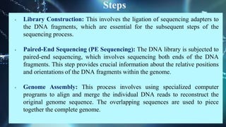 Steps
• Library Construction: This involves the ligation of sequencing adapters to
the DNA fragments, which are essential for the subsequent steps of the
sequencing process.
• Paired-End Sequencing (PE Sequencing): The DNA library is subjected to
paired-end sequencing, which involves sequencing both ends of the DNA
fragments. This step provides crucial information about the relative positions
and orientations of the DNA fragments within the genome.
• Genome Assembly: This process involves using specialized computer
programs to align and merge the individual DNA reads to reconstruct the
original genome sequence. The overlapping sequences are used to piece
together the complete genome.
 