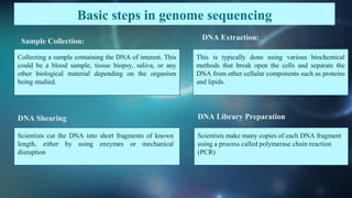 Collecting a sample containing the DNA of interest. This
could be a blood sample, tissue biopsy, saliva, or any
other biological material depending on the organism
being studied.
DNA Shearing
Sample Collection: DNA Extraction:
Scientists cut the DNA into short fragments of known
length, either by using enzymes or mechanical
disruption
DNA Library Preparation
Scientists make many copies of each DNA fragment
using a process called polymerase chain reaction
(PCR)
This is typically done using various biochemical
methods that break open the cells and separate the
DNA from other cellular components such as proteins
and lipids.
Basic steps in genome sequencing
 